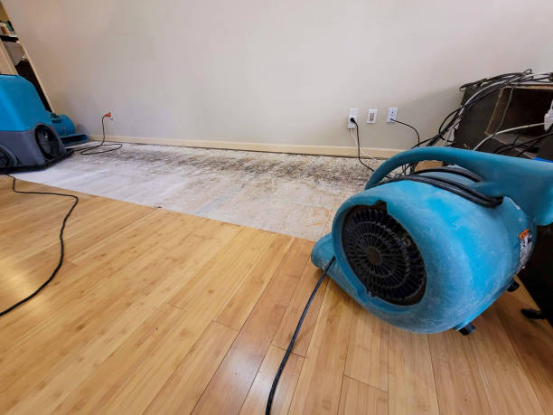 Professional Water Damage Repair technician working in Hubbard, OH